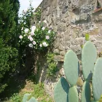 La Vistosa 시시아나