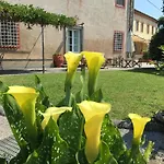 La Vistosa 시시아나