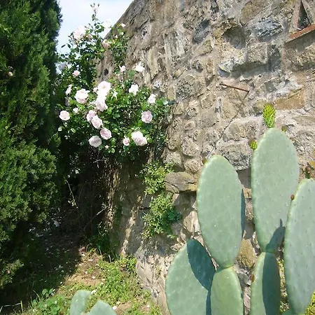 La Vistosa Ciciana