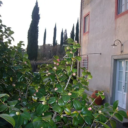 La Vistosa Ciciana