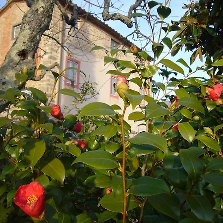 דירה La Vistosa Ciciana
